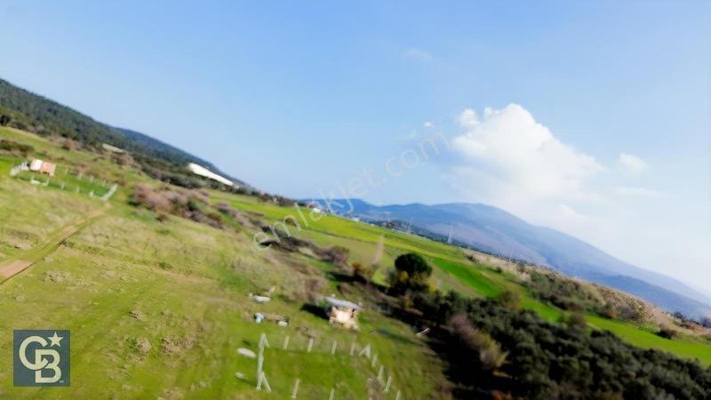 Şehitkemalde 273m2 Satılık Etrafı Çevirili Tarla — fotoğraf 29