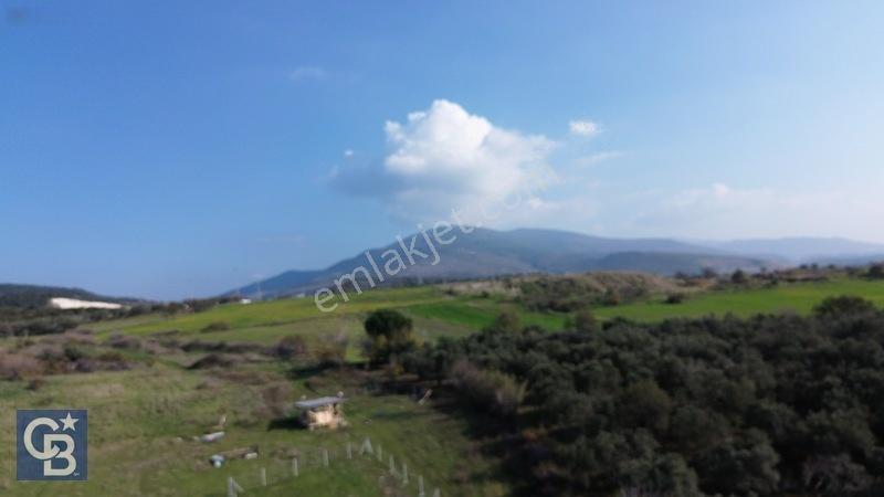 Şehitkemalde 273m2 Satılık Etrafı Çevirili Tarla — fotoğraf 30
