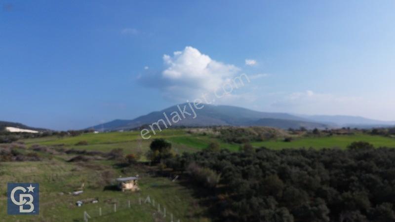 Şehitkemalde 273m2 Satılık Etrafı Çevirili Tarla — fotoğraf 31
