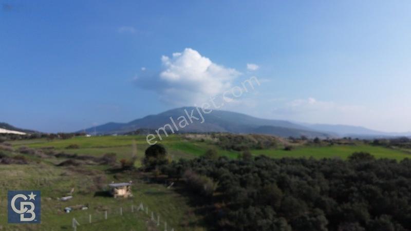 Şehitkemalde 273m2 Satılık Etrafı Çevirili Tarla — fotoğraf 32