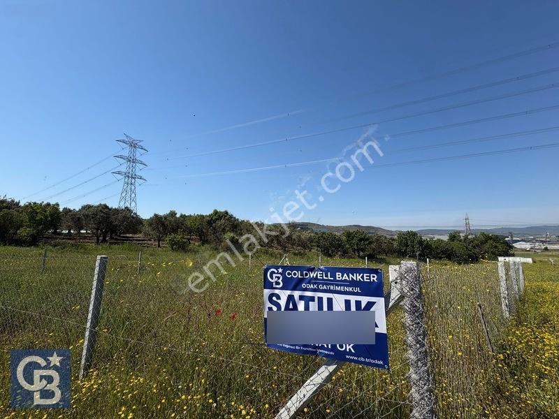 Şehitkemalde 273m2 Satılık Etrafı Çevirili Tarla — fotoğraf 35