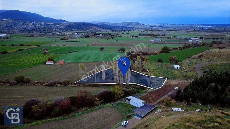 Cb Odak'tan Aliağa Güzelhisarda Satılık Zeytinlik