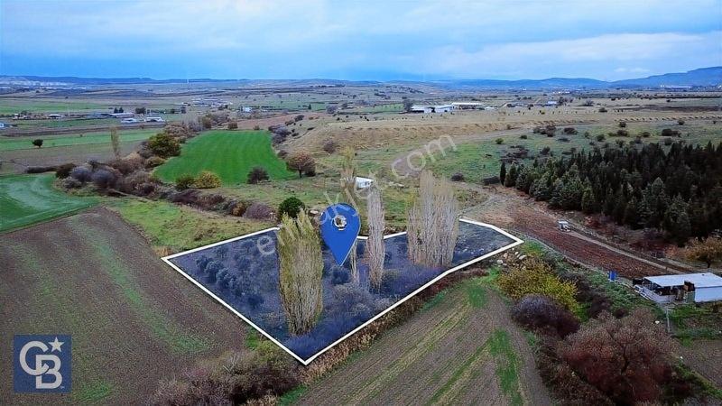 Cb Odak'tan Aliağa Güzelhisarda Satılık Zeytinlik — fotoğraf 2