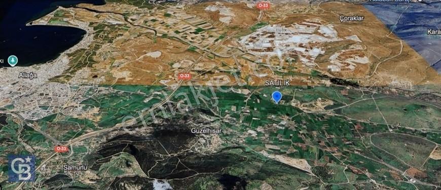 Cb Odak'tan Aliağa Güzelhisarda Satılık Zeytinlik — fotoğraf 4