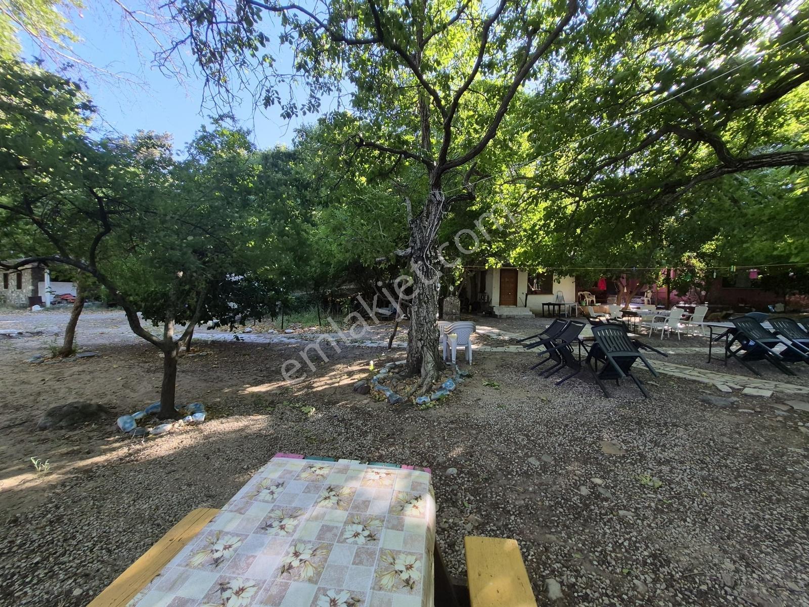 Molva Beyi Emlaktan Çaya Sıfır Yapı Kayıtlı Özel Bir Bahçe!! — fotoğraf 4