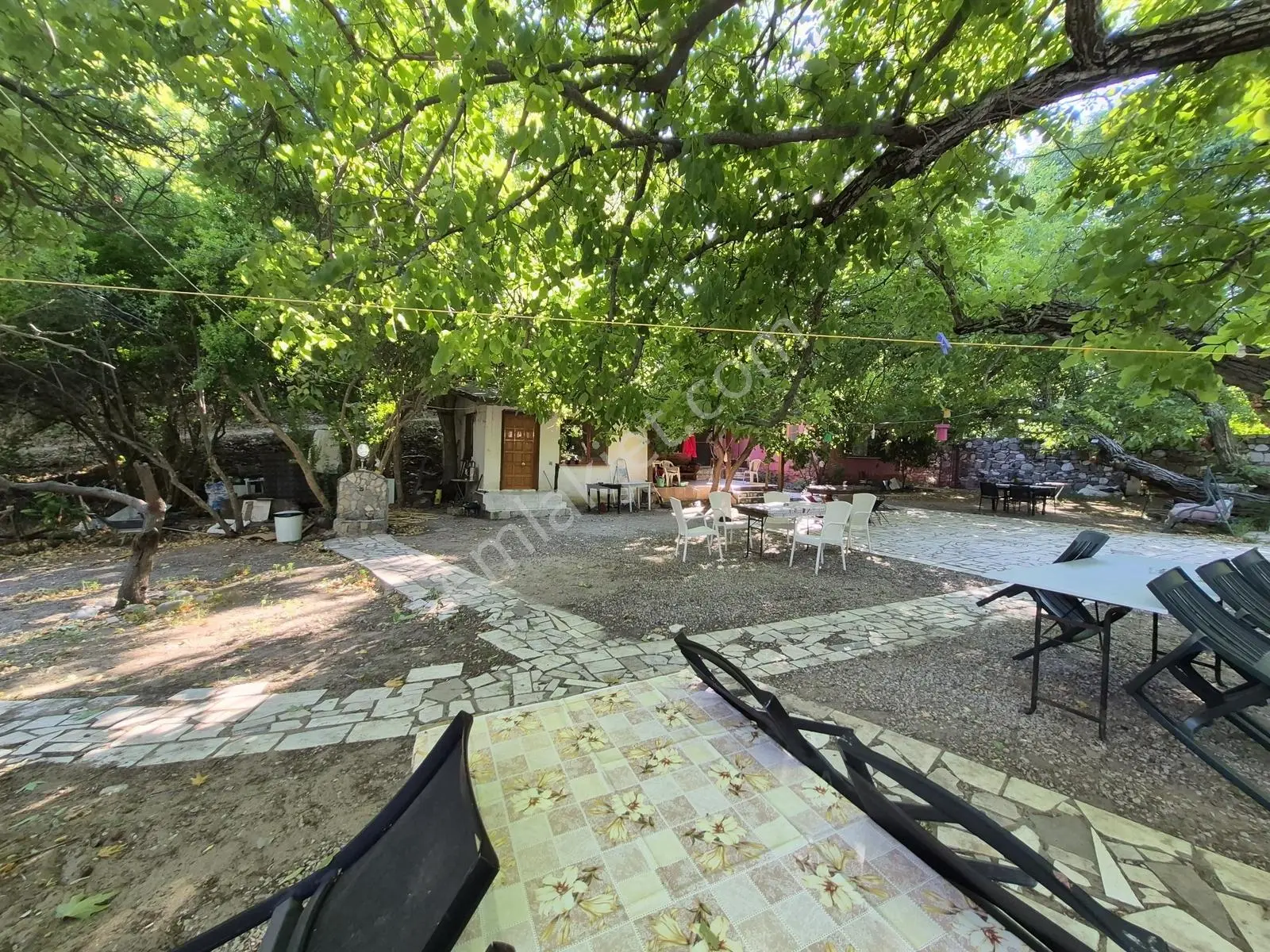 Molva Beyi Emlaktan Çaya Sıfır Yapı Kayıtlı Özel Bir Bahçe!! — fotoğraf 5
