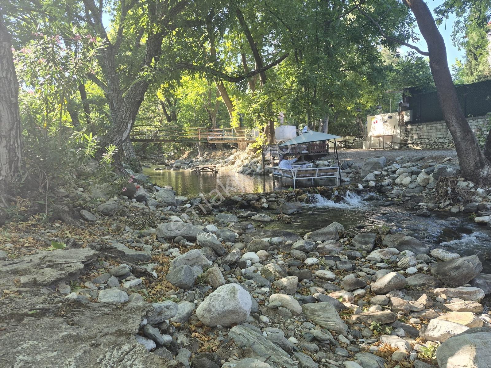 Molva Beyi Emlaktan Çaya Sıfır Yapı Kayıtlı Özel Bir Bahçe!! — fotoğraf 6