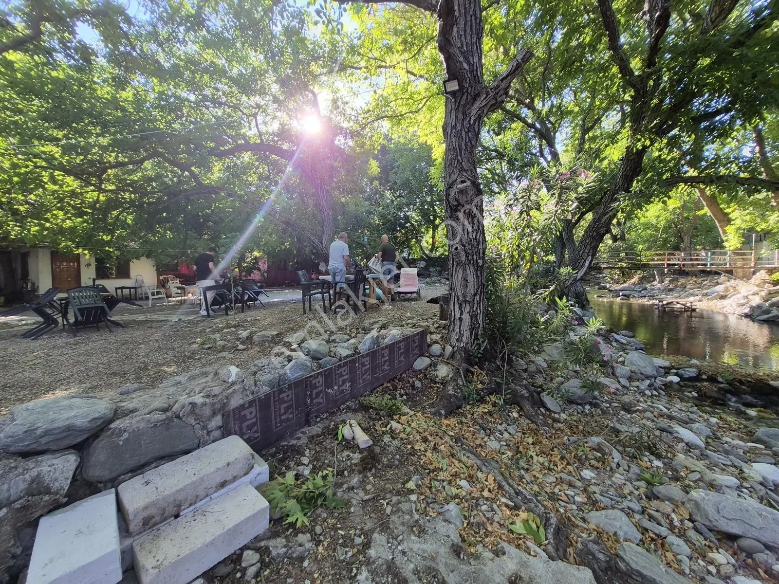 Molva Beyi Emlaktan Çaya Sıfır Yapı Kayıtlı Özel Bir Bahçe!! — fotoğraf 8