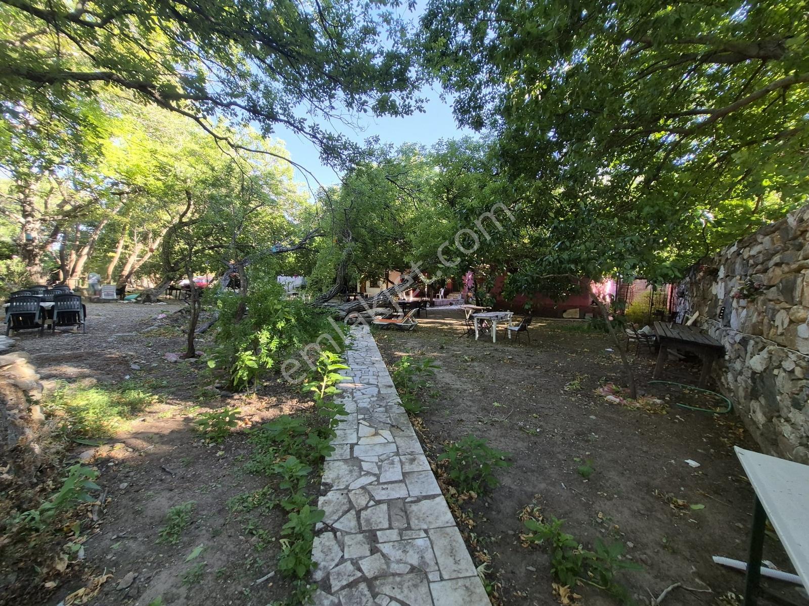 Molva Beyi Emlaktan Çaya Sıfır Yapı Kayıtlı Özel Bir Bahçe!! — fotoğraf 18