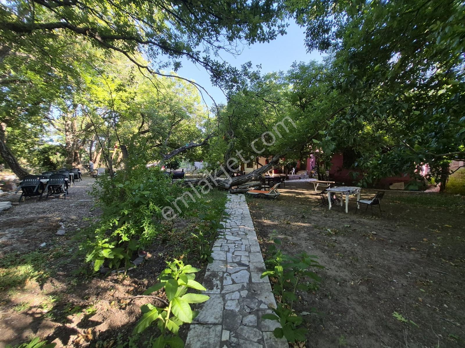 Molva Beyi Emlaktan Çaya Sıfır Yapı Kayıtlı Özel Bir Bahçe!! — fotoğraf 19