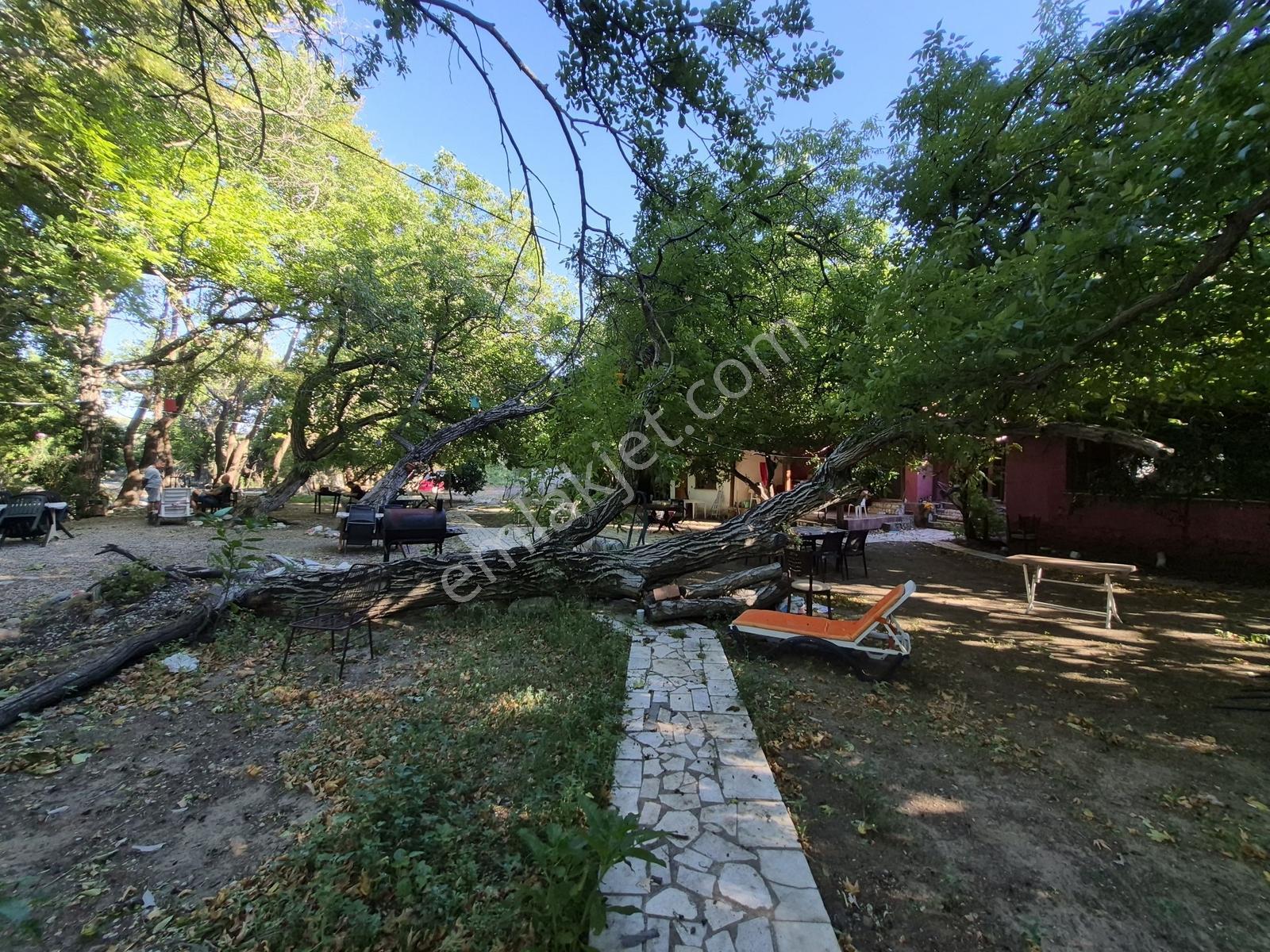Molva Beyi Emlaktan Çaya Sıfır Yapı Kayıtlı Özel Bir Bahçe!! — fotoğraf 20