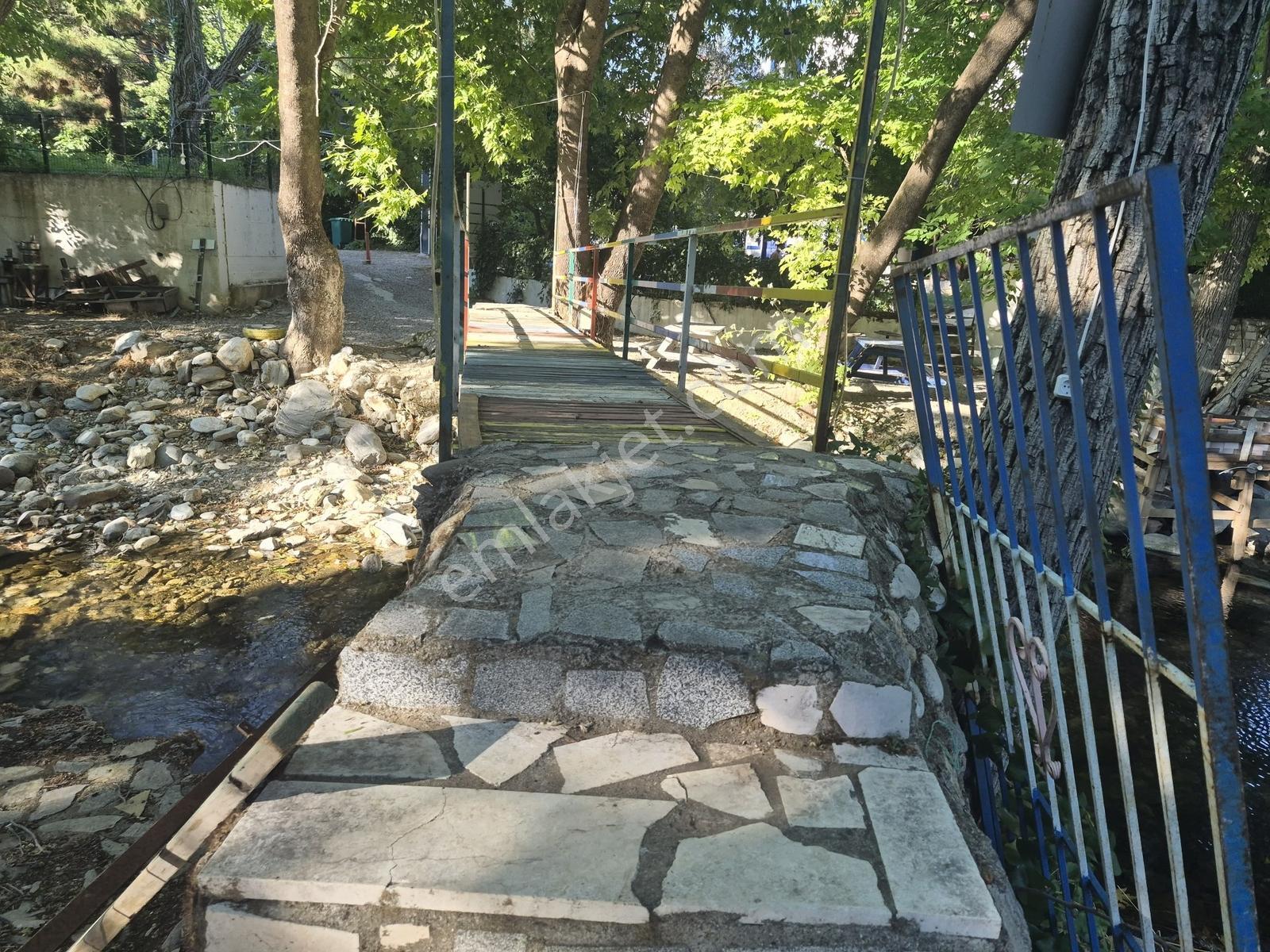 Molva Beyi Emlaktan Çaya Sıfır Yapı Kayıtlı Özel Bir Bahçe!! — fotoğraf 23