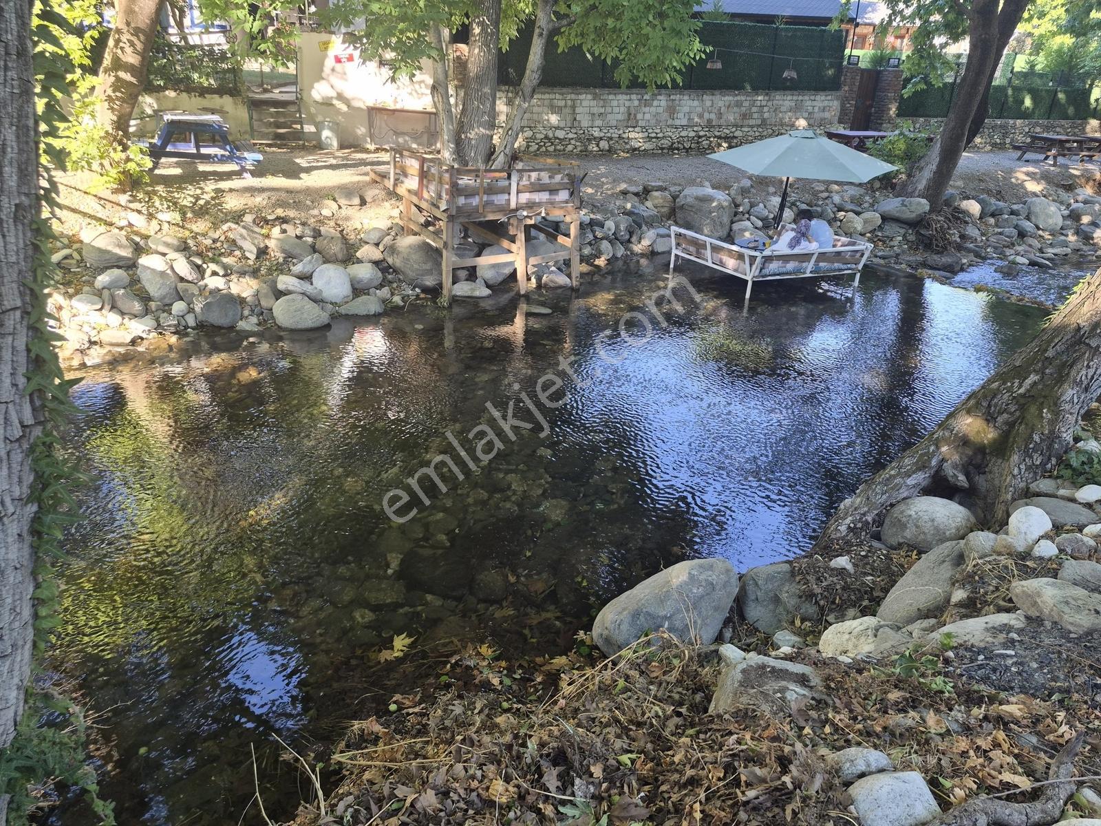 Molva Beyi Emlaktan Çaya Sıfır Yapı Kayıtlı Özel Bir Bahçe!! — fotoğraf 24