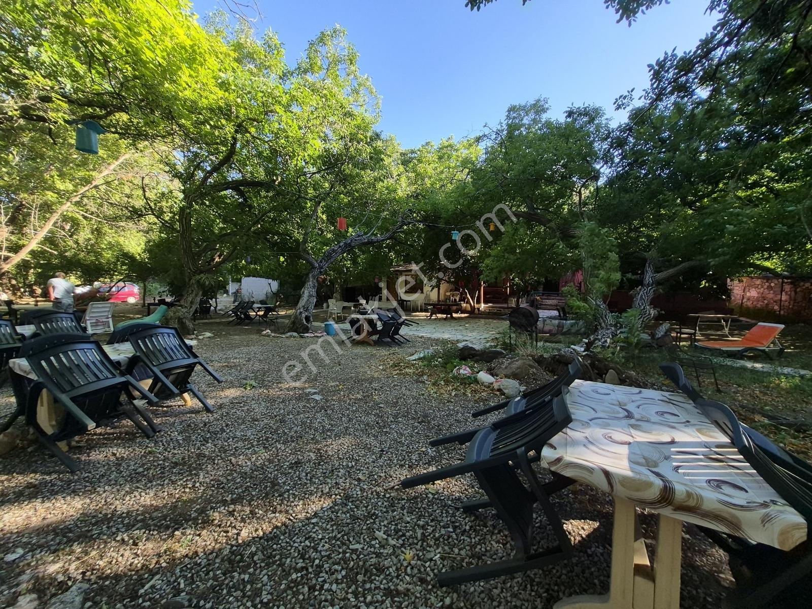 Molva Beyi Emlaktan Çaya Sıfır Yapı Kayıtlı Özel Bir Bahçe!! — fotoğraf 26