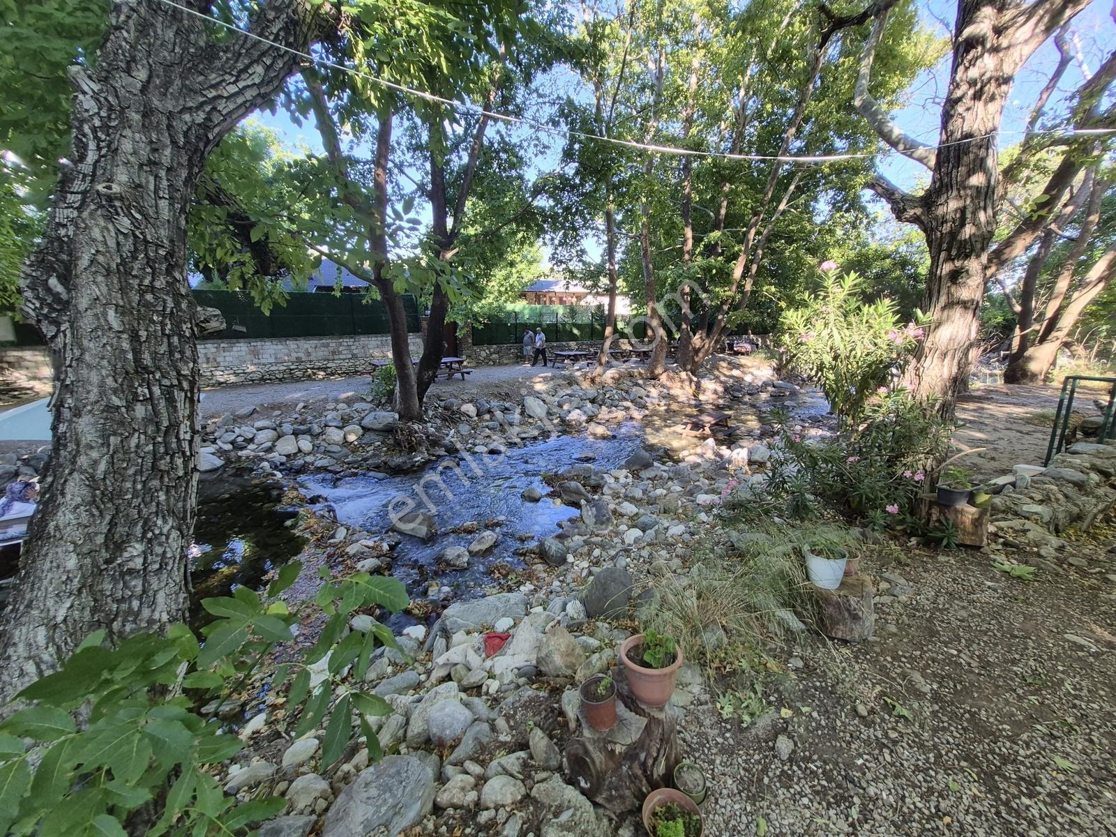 Molva Beyi Emlaktan Çaya Sıfır Yapı Kayıtlı Özel Bir Bahçe!! — fotoğraf 31