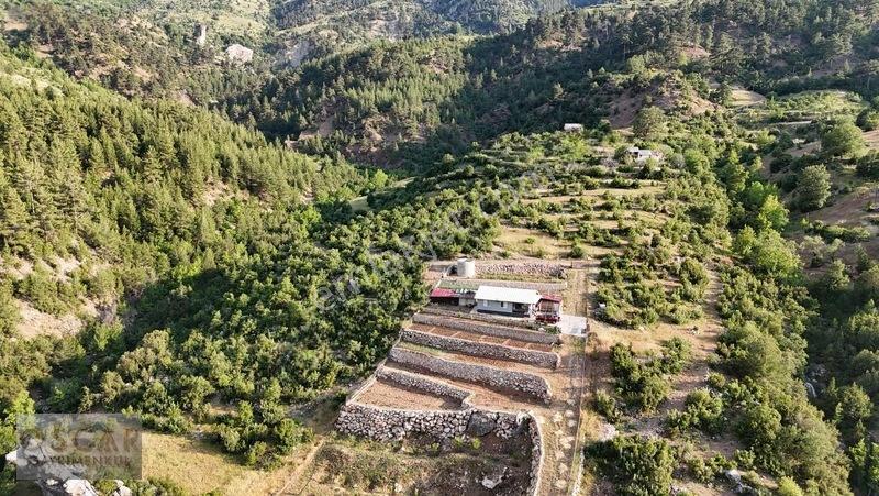Gündoğmuş Çamlıalan Mevkiinde Yatırıma Uygun Satılık Tarla — fotoğraf 2