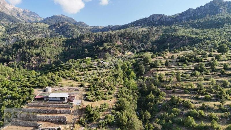 Gündoğmuş Çamlıalan Mevkiinde Yatırıma Uygun Satılık Tarla — fotoğraf 5