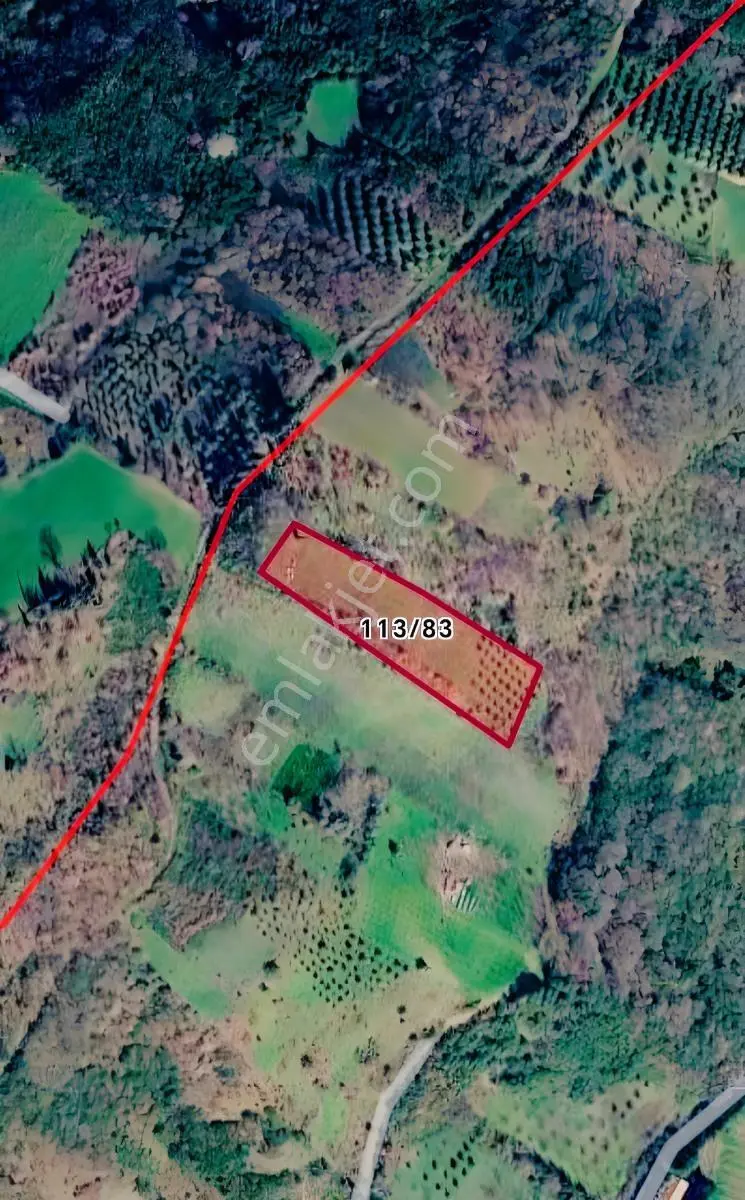Yalova Altınova Ayazmada 5.075 M² Müstakil Tarla — fotoğraf 3