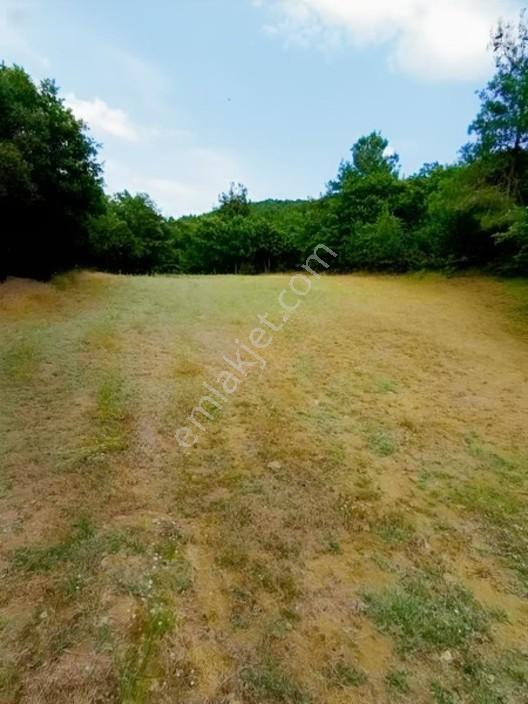 Sarıyer Madende Satılık Arsa — fotoğraf 2