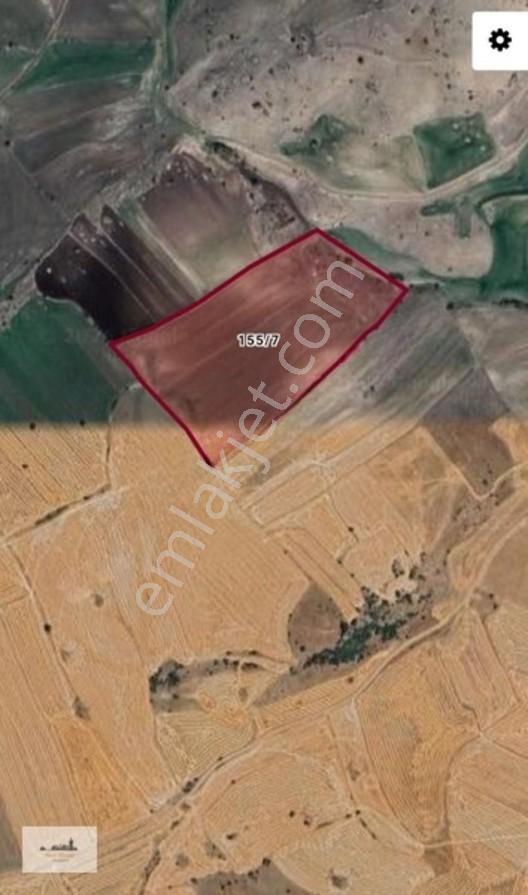 Tohumlar Güzel Konumda Satılık 5670 M2 Tarla Hissesi