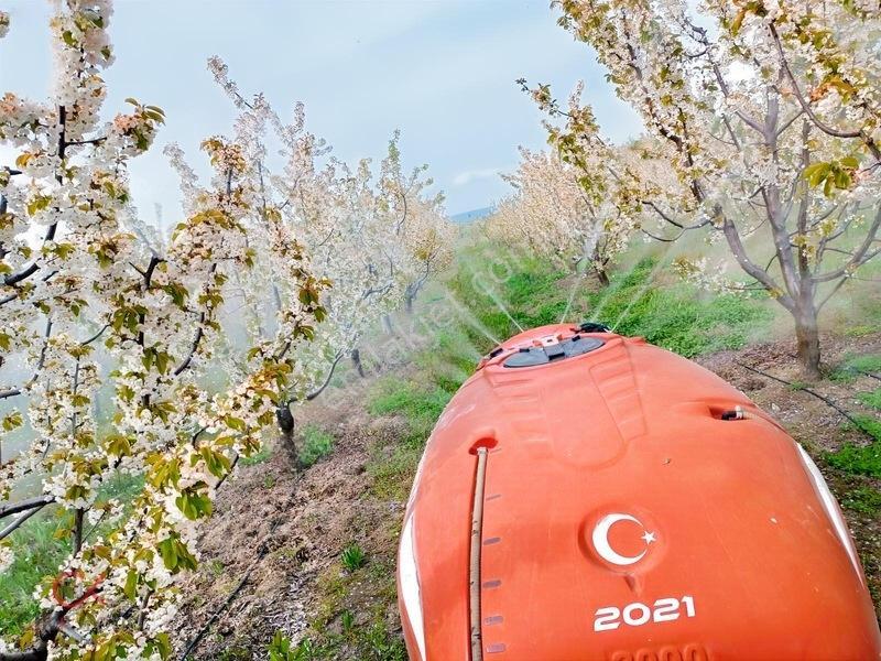 Meyvenin Başkenti Afyon Sultandağında Satılık Kiraz Bahçesi — fotoğraf 12
