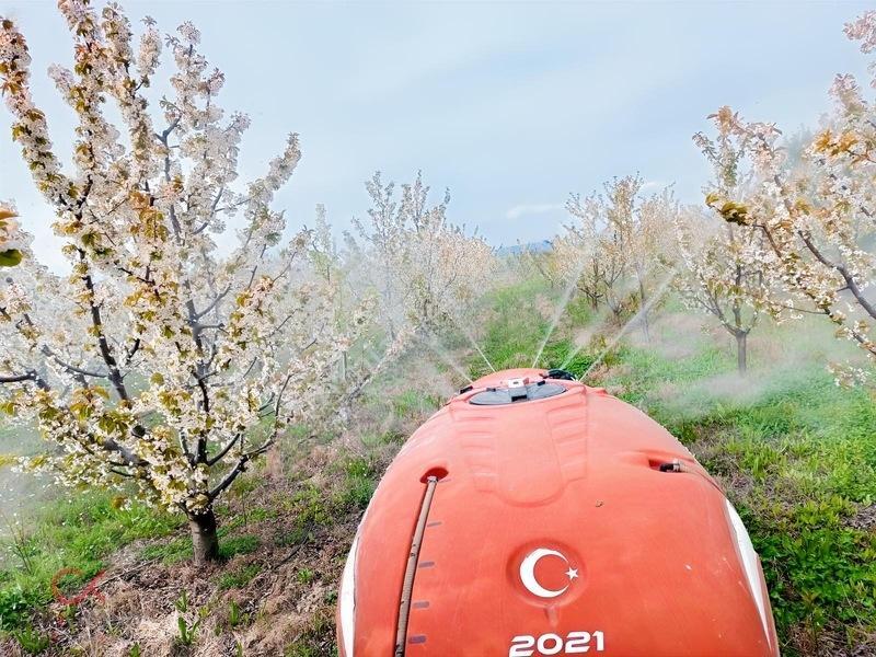 Meyvenin Başkenti Afyon Sultandağında Satılık Kiraz Bahçesi — fotoğraf 17