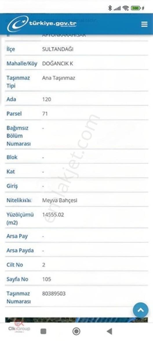 Meyvenin Başkenti Afyon Sultandağında Satılık Kiraz Bahçesi — fotoğraf 19