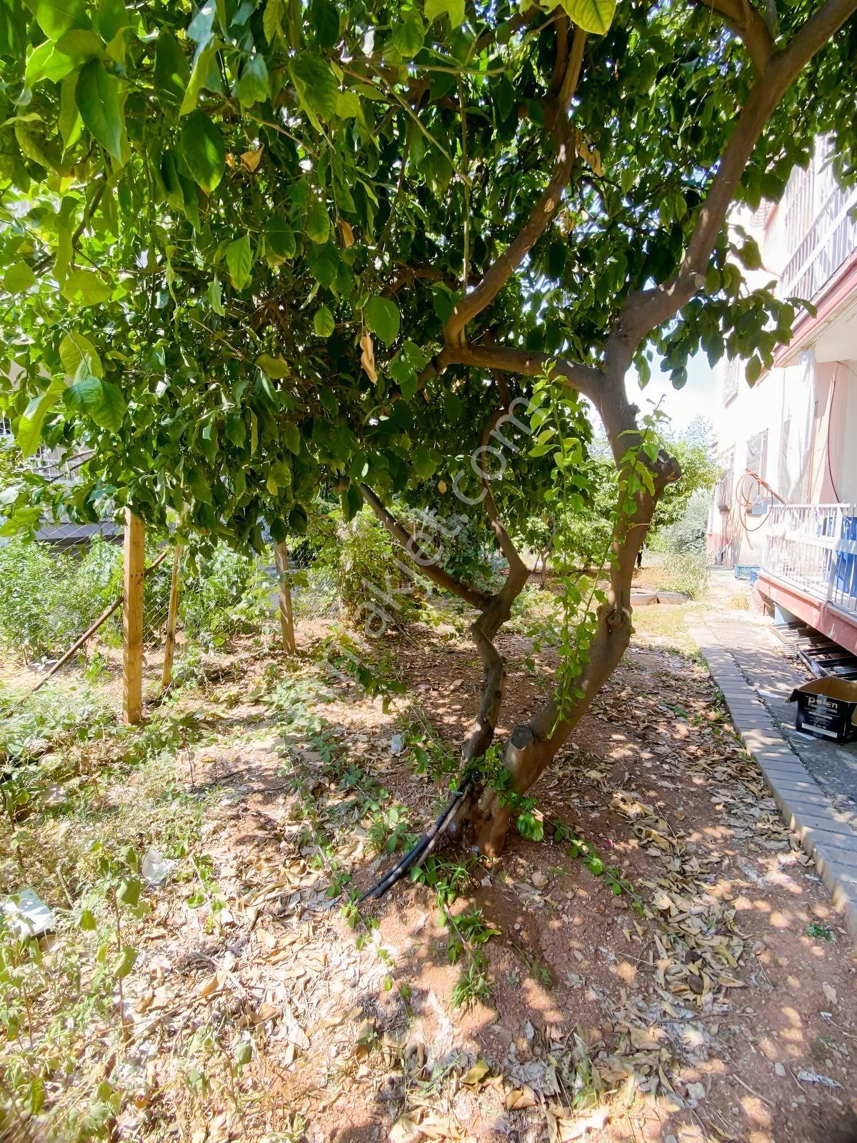 Toroslar Gimem Sitesi H Blok'da Güney Cepheli Kombili 3+1 — fotoğraf 15