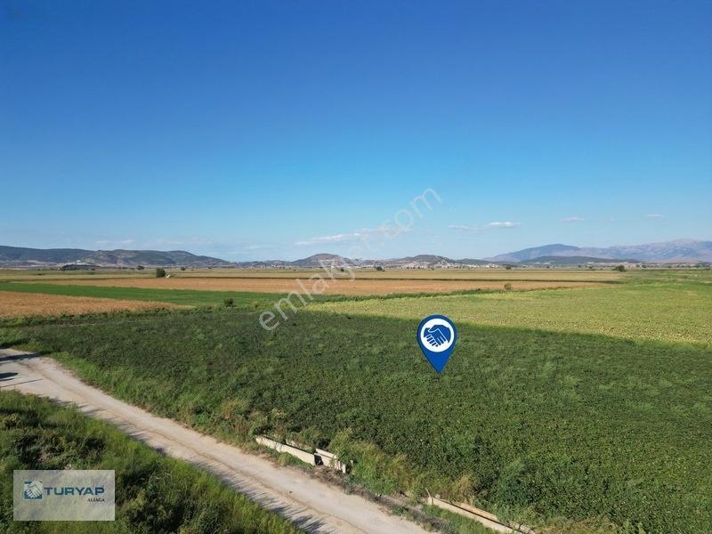 Menemende Verimli Toprağa Sahip 3.368 M2 Satılık Tarla — fotoğraf 2