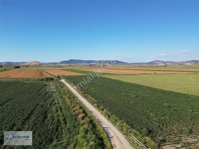 Menemende Verimli Toprağa Sahip 3.368 M2 Satılık Tarla — fotoğraf 3