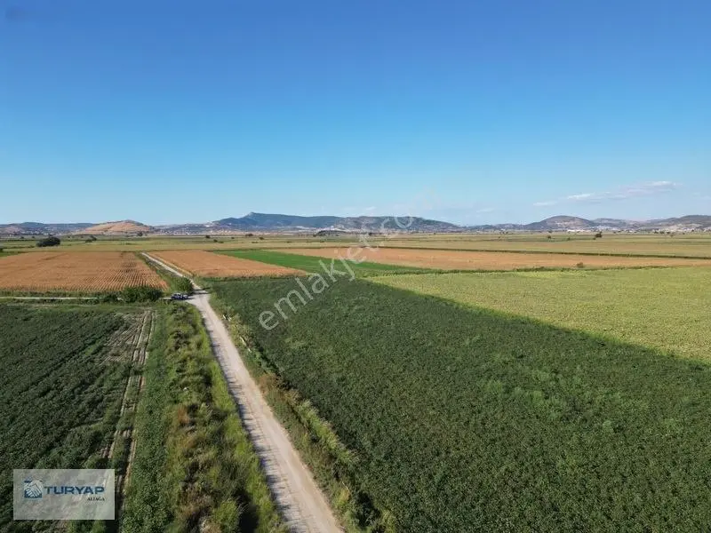 Menemende Verimli Toprağa Sahip 3.368 M2 Satılık Tarla — fotoğraf 4