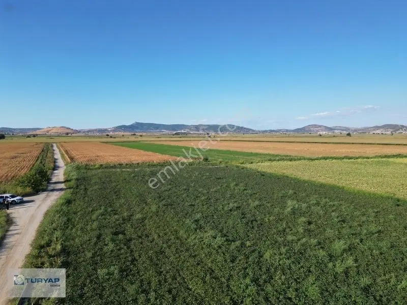 Menemende Verimli Toprağa Sahip 3.368 M2 Satılık Tarla — fotoğraf 5