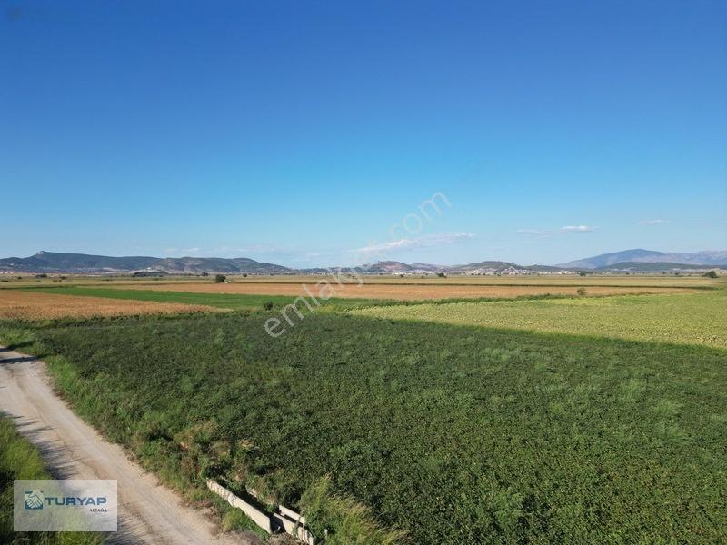 Menemende Verimli Toprağa Sahip 3.368 M2 Satılık Tarla — fotoğraf 8