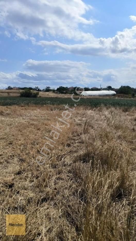 Mayadan 130m2 Si Arsa Vasfında İmara Sıfır Tarla — fotoğraf 6