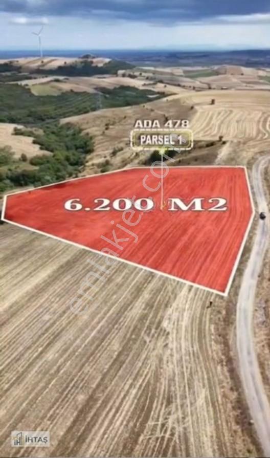 Değirmenköy 6213 M2 Kadastro Yola Cephe Satılık Müstakil Tarla