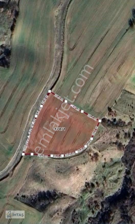 Değirmenköy 6213 M2 Kadastro Yola Cephe Satılık Müstakil Tarla — fotoğraf 2