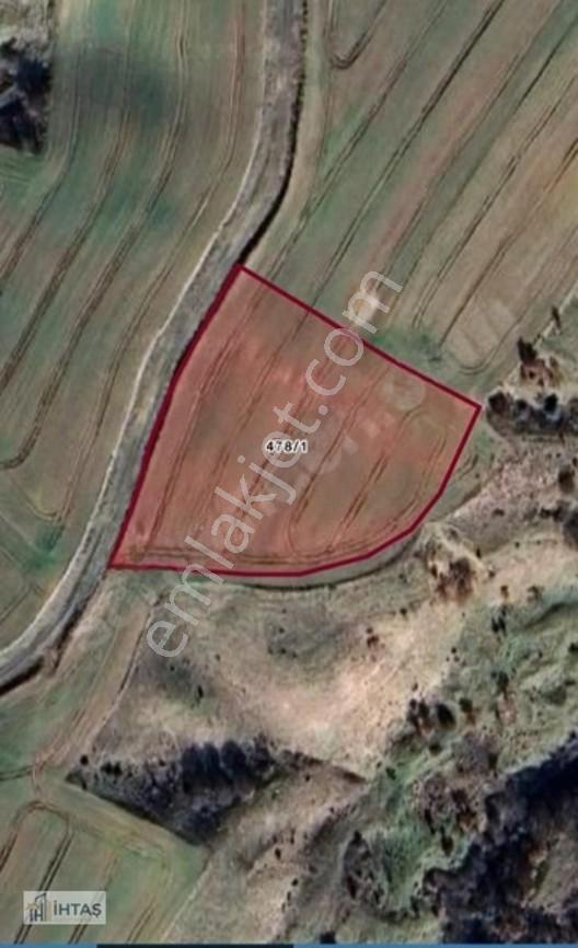 Değirmenköy 6213 M2 Kadastro Yola Cephe Satılık Müstakil Tarla — fotoğraf 3