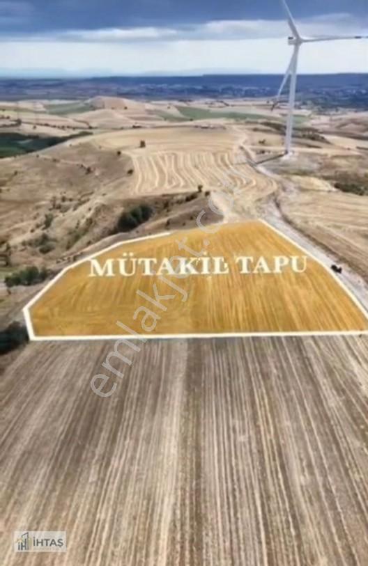 Değirmenköy 6213 M2 Kadastro Yola Cephe Satılık Müstakil Tarla — fotoğraf 4