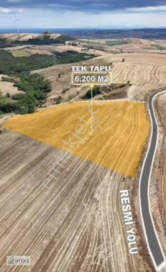 Değirmenköy 6213 M2 Kadastro Yola Cephe Satılık Müstakil Tarla — fotoğraf 5