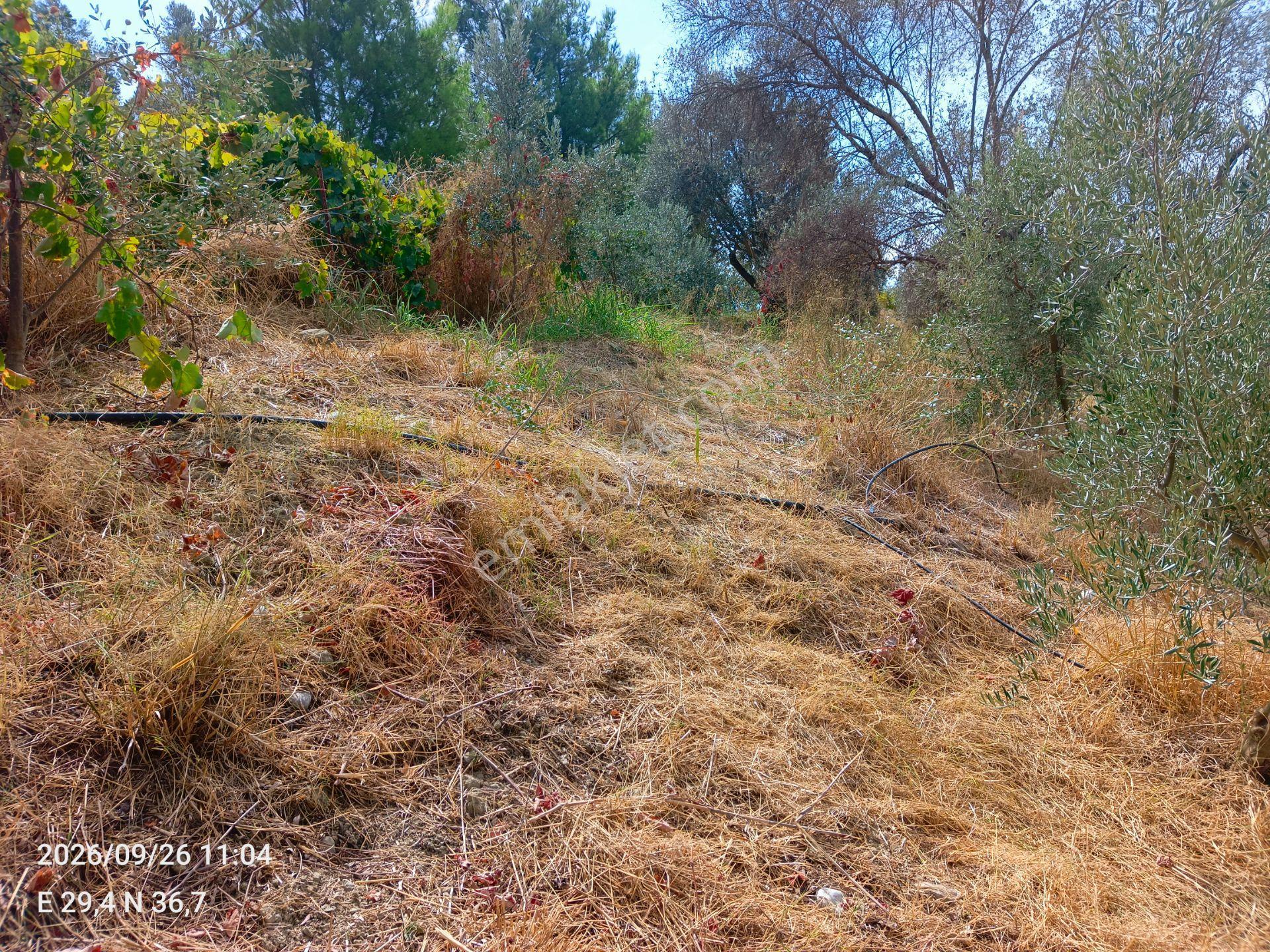 Sahil Atlıdere Müstakil Tapulu Arazi — fotoğraf 6