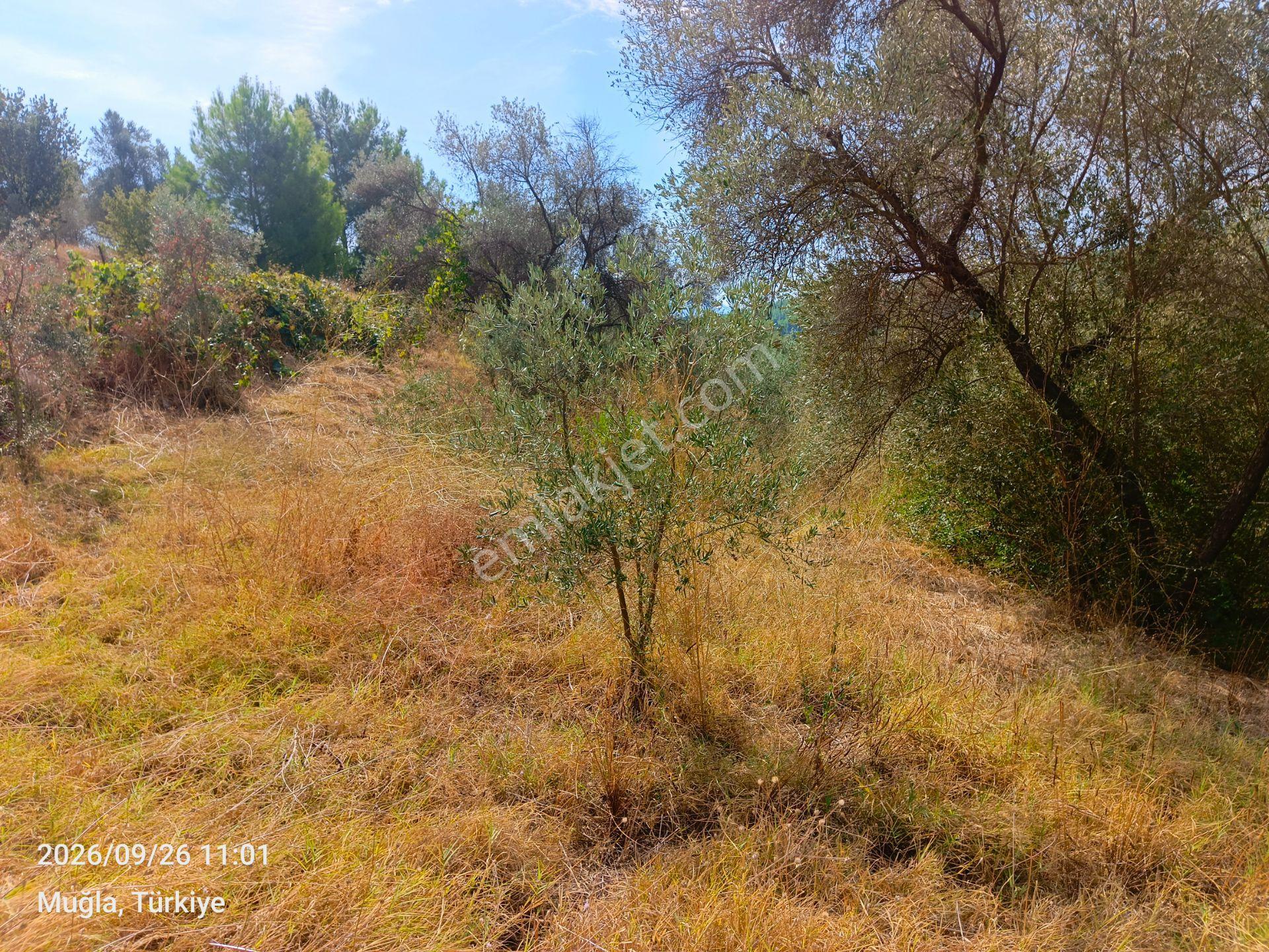 Sahil Atlıdere Müstakil Tapulu Arazi — fotoğraf 7
