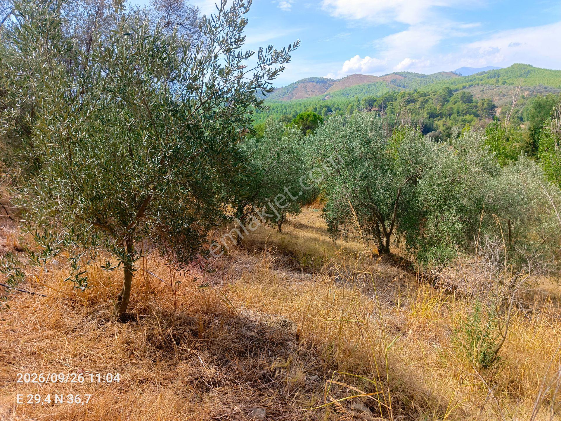 Sahil Atlıdere Müstakil Tapulu Arazi — fotoğraf 8