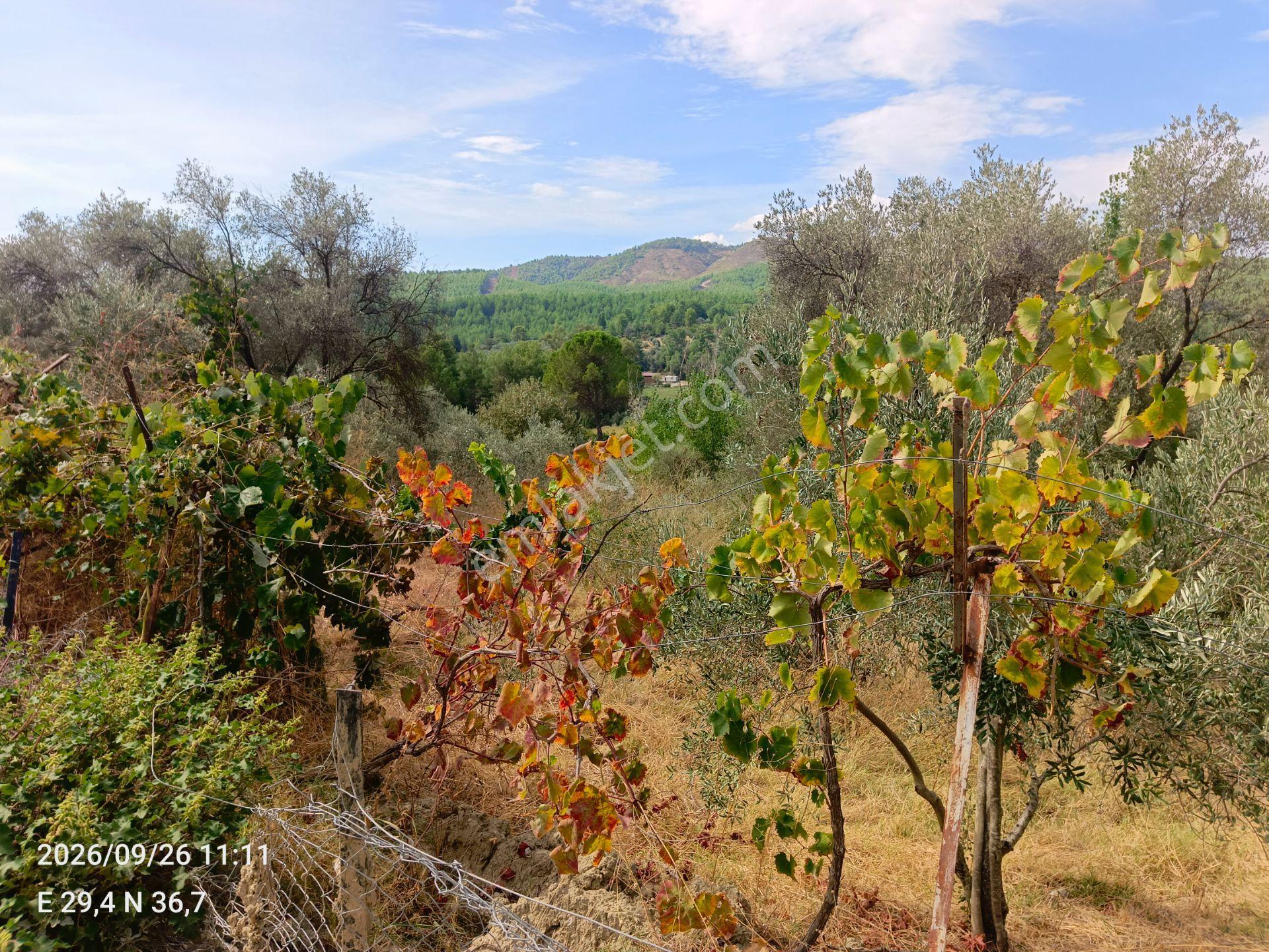 Sahil Atlıdere Müstakil Tapulu Arazi — fotoğraf 10