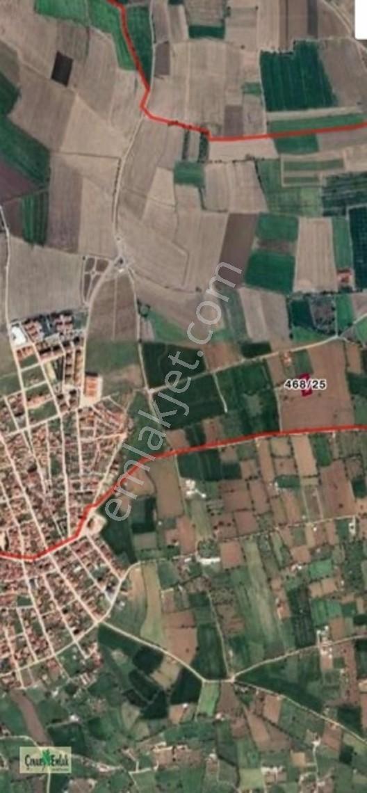 Çınar Emlak'tan Satılık Tarla