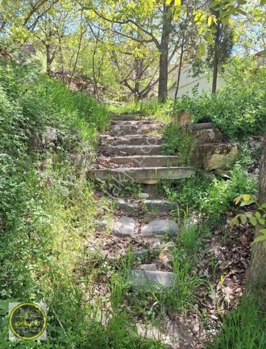 İpekyolu Gayrimenkul'den İnözü Vadisinde 6345 M2 Turistik Tesis — fotoğraf 5