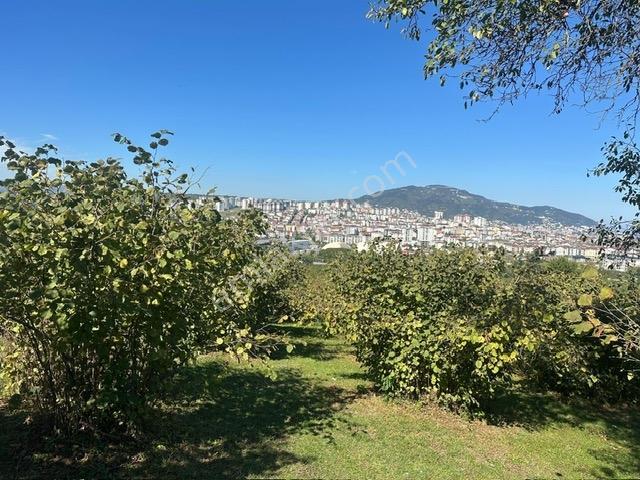 Tepe Gayrimenkul Karşıyaka Yeni Otogar Bölgesi 901 M2 Köşe Arsa