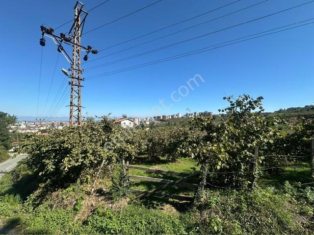 Tepe Gayrimenkul Karşıyaka Yeni Otogar Bölgesi 901 M2 Köşe Arsa — fotoğraf 3