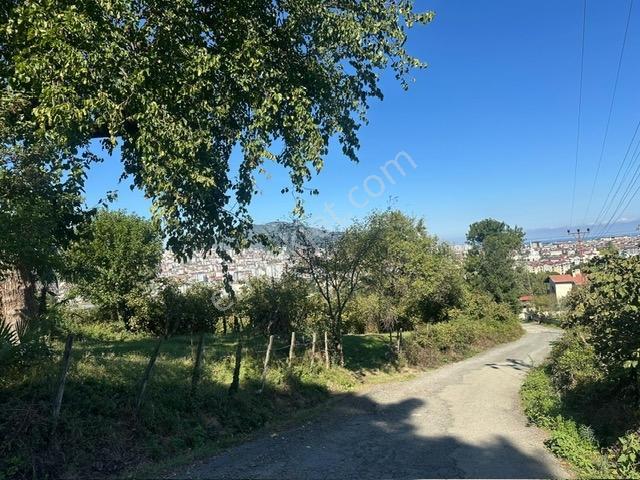 Tepe Gayrimenkul Karşıyaka Yeni Otogar Bölgesi 901 M2 Köşe Arsa — fotoğraf 6