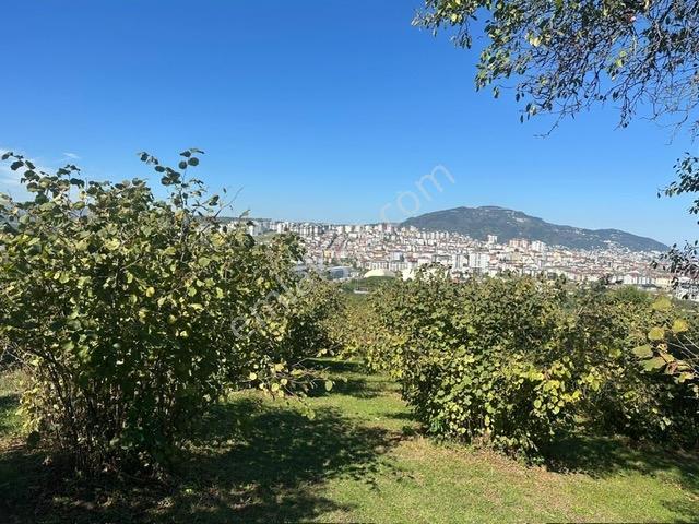 Tepe Gayrimenkul Karşıyaka Yeni Otogar Bölgesi 901 M2 Köşe Arsa — fotoğraf 7