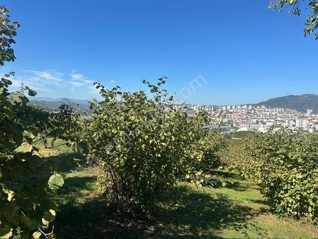 Tepe Gayrimenkul Karşıyaka Yeni Otogar Bölgesi 901 M2 Köşe Arsa — fotoğraf 8